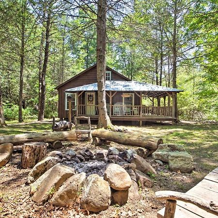 Clearwater Cabin On 10 Acres With Trout Stream! Monterey Exterior photo