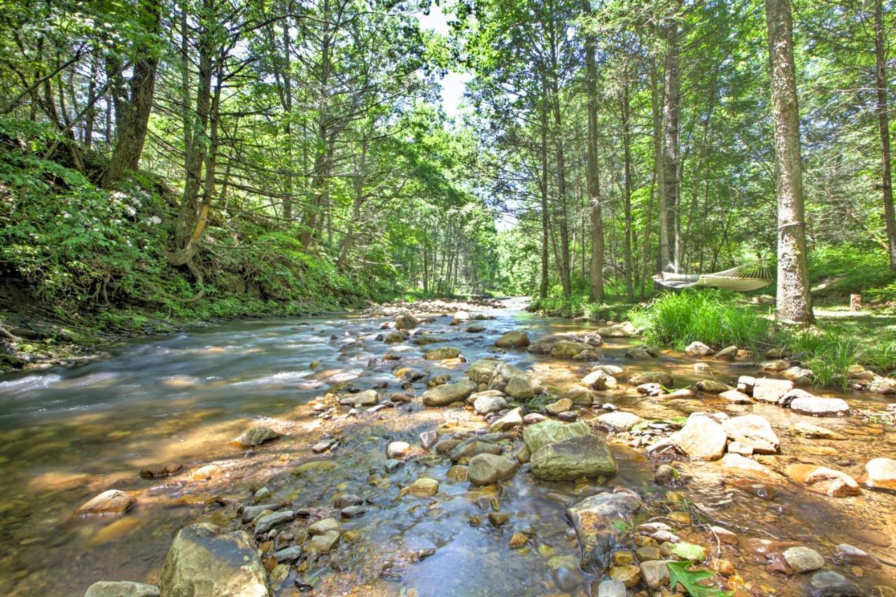 Clearwater Cabin On 10 Acres With Trout Stream! Monterey Exterior photo
